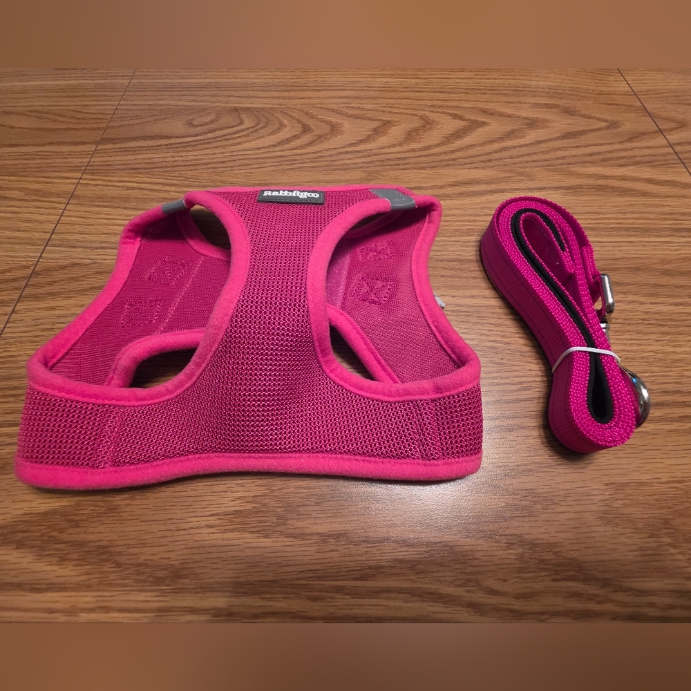 Rabbitgoo Fuchsia Dog Harness and Leash Set